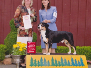 Group1Owner:handler