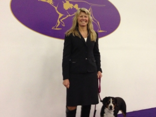 At Westminster